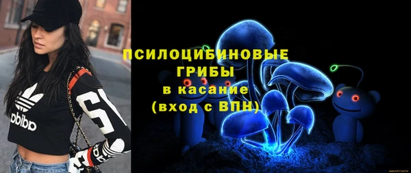 ПСИЛОЦИБИНОВЫЕ ГРИБЫ Абдулино