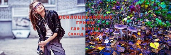2c-b Покровск