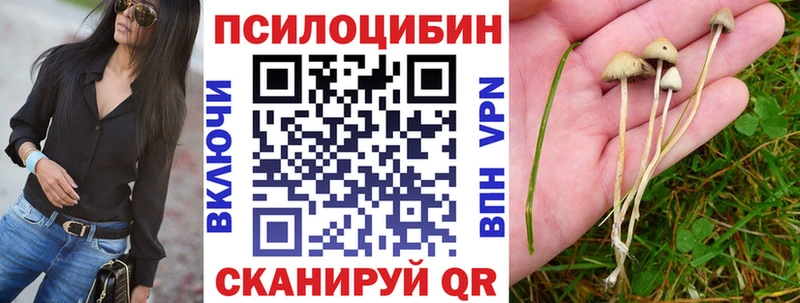 Псилоцибиновые грибы прущие грибы  Новоалександровск 