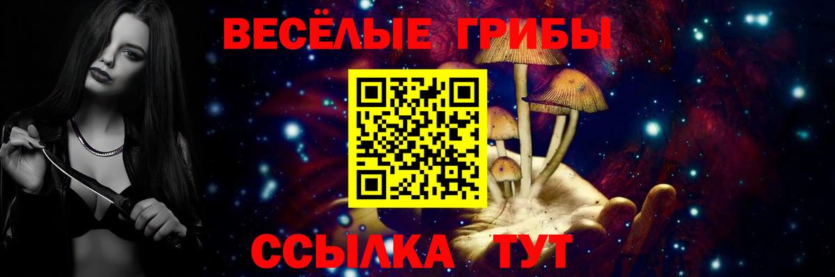 Галлюциногенные грибы прущие грибы Новоалександровск