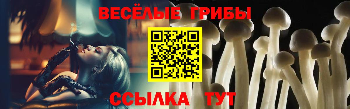 Галлюциногенные грибы Psilocybe  Вход с VPN  Псилоцибиновые грибы Psilocybine cubensis  Новоалександровск 