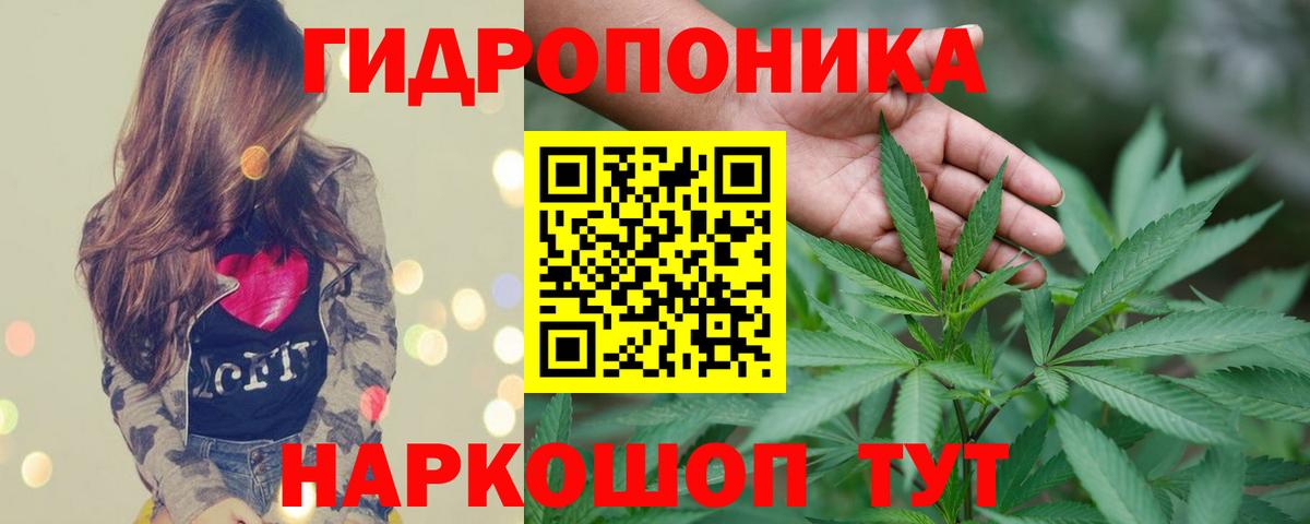 Бошки марихуана гибрид  Конопля White Widow  Новоалександровск  Вход с VPN  Бошки марихуана AK-47 